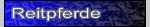 Reitpferde